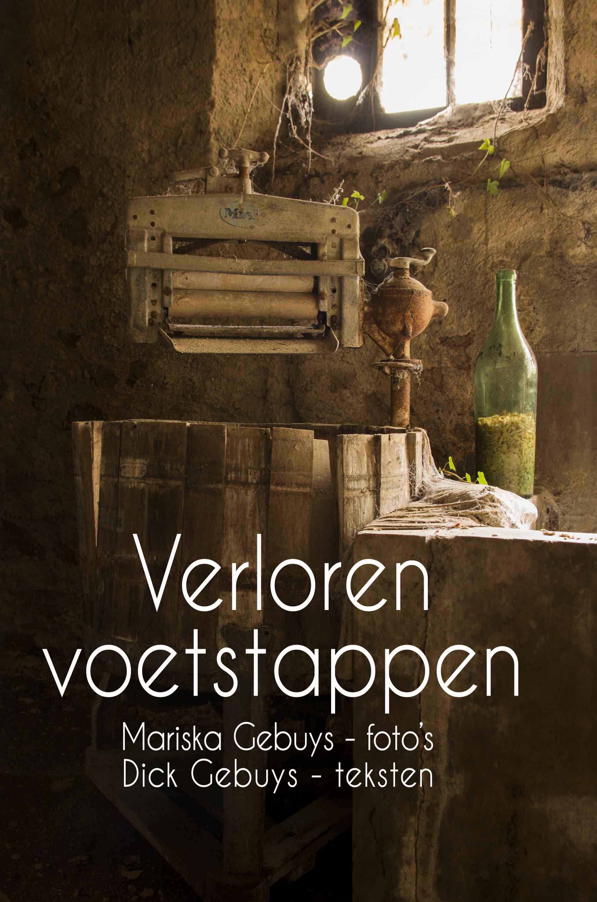 voorzijde cover Dick en Mariska